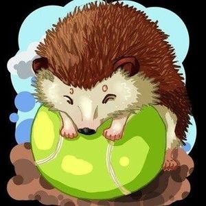 Meet your Posher, Austen